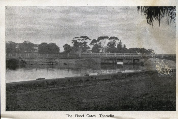Floodgates Tooradin postcard